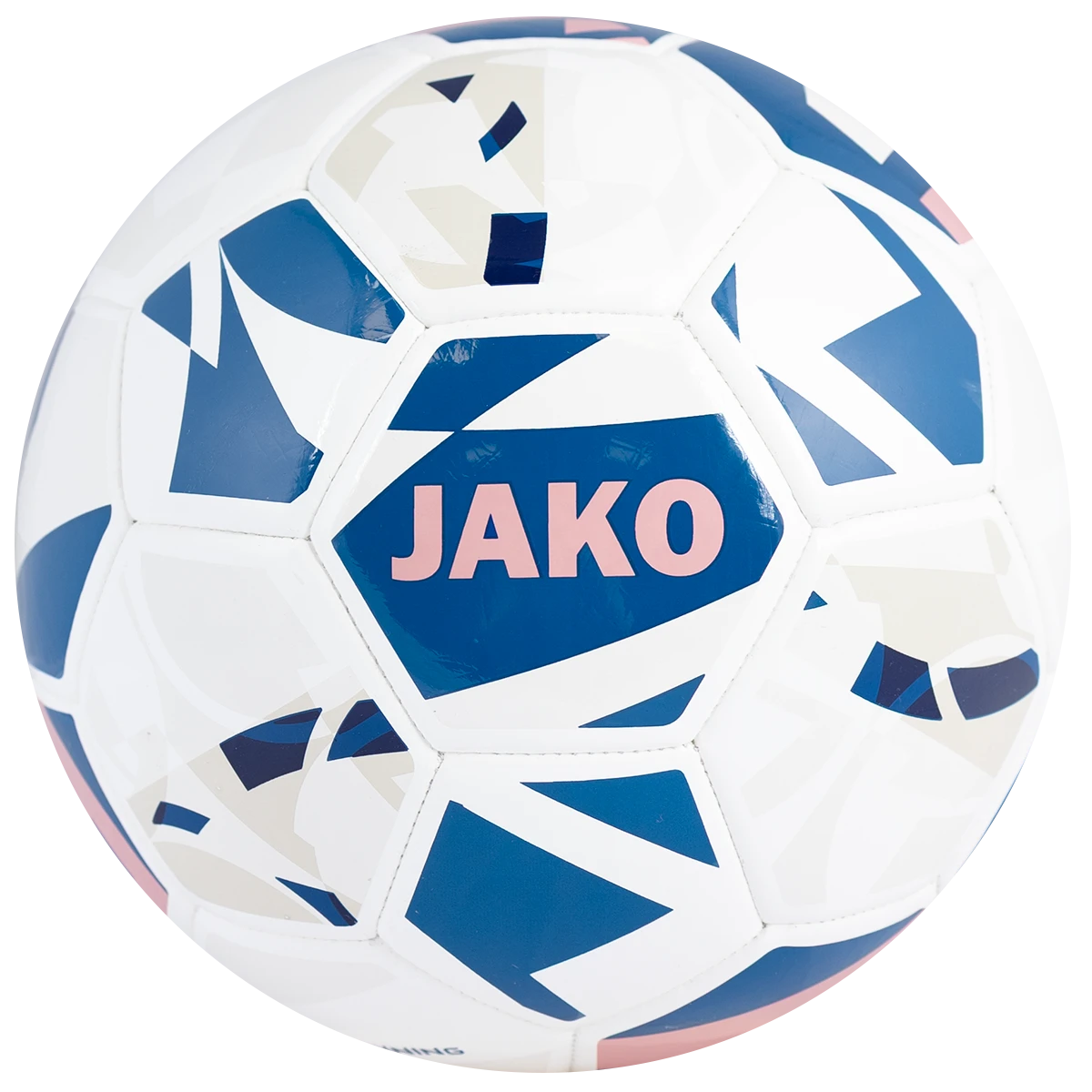 Trainingsball Futsal